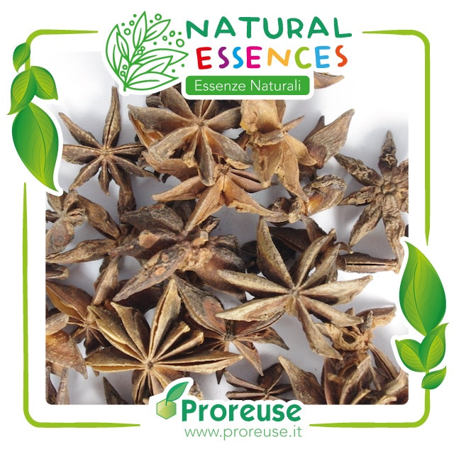 Anice stellato frutti interi   - 100 gr