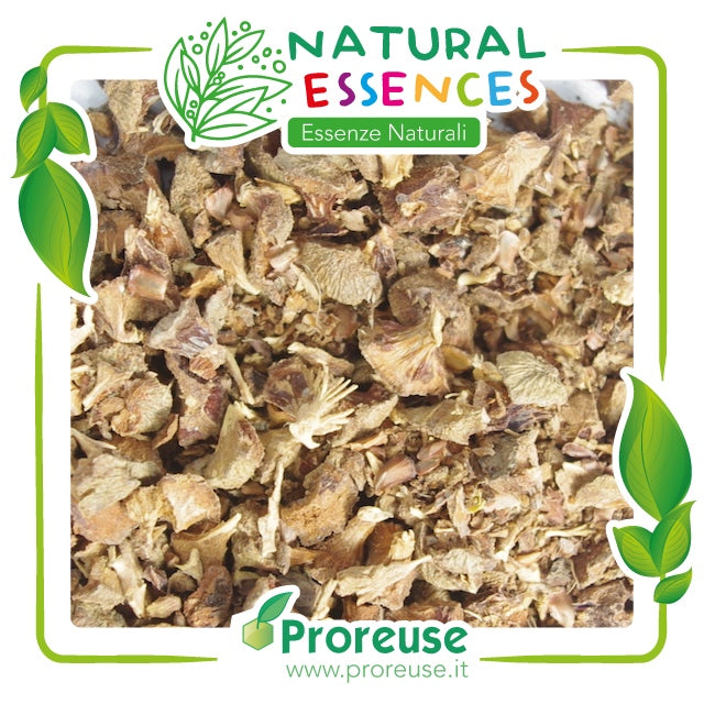 Bacche di cipresso triturate ( garbuli)  - 100 gr