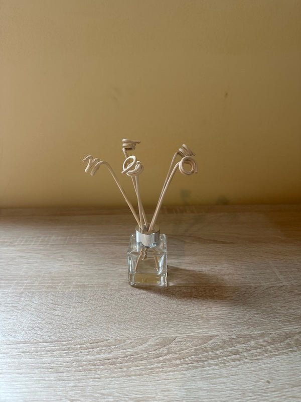 Bastoncini a spirale per diffusori, colore naturale