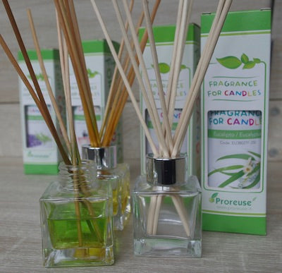 Bastoncini per diffusori colore naturale, 100 pz , lunghezza 20 cm , spessore 3 mm