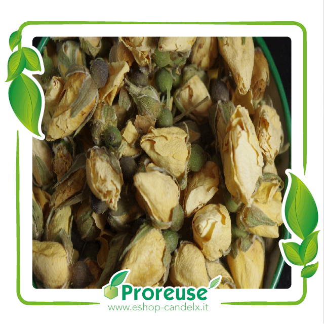 Boccioli di rose gialle essiccate   - 100 gr