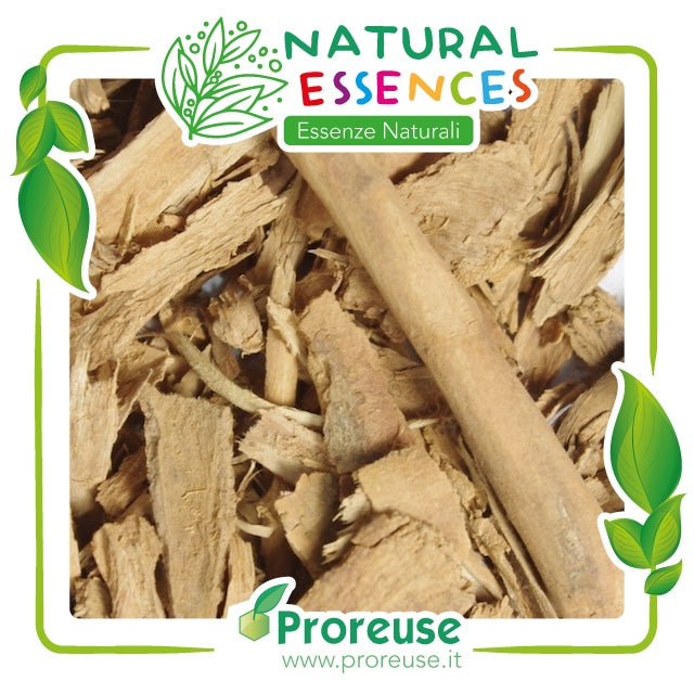 Cannella Ceylon corteccia rottami    - 100 gr