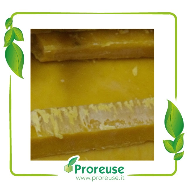 Cera d'api gialla pura - panetti da 1 kg