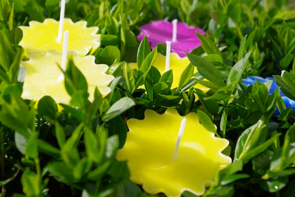 Cera di palma colorata gialla