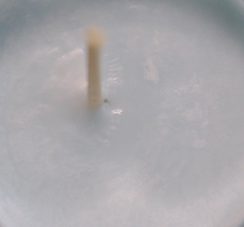 Colore Blue, liquido, 100 % vegetale, per cera o diffusore d&