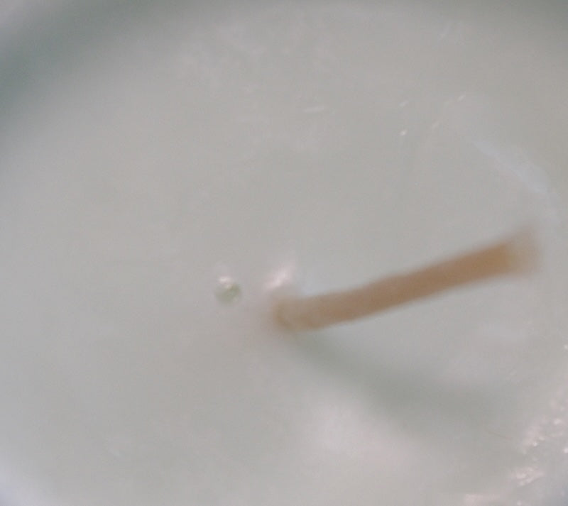 Colore Verde, liquido, 100 % vegetale, per cera o per diffusori d&