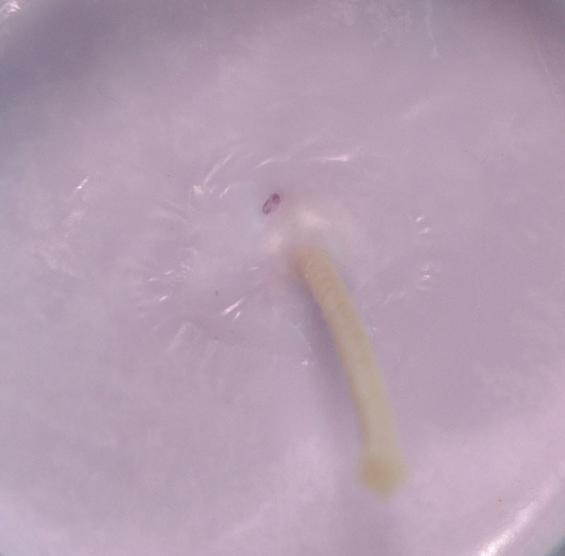 Colore Viola, liquido, 100 % vegetale, per cera o per diffusori d&