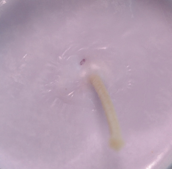 Colore Viola, liquido, 100 % vegetale, per cera o per diffusori d&