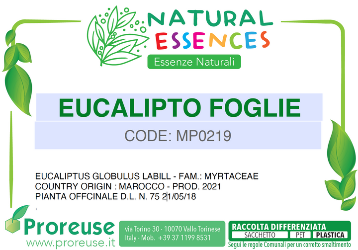 Eucalipto foglie intere    - 100 gr