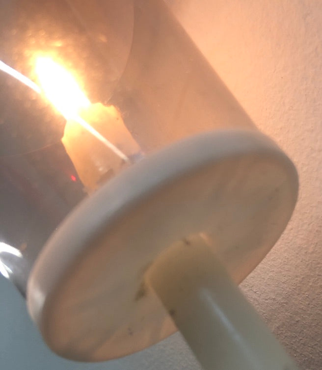 Flambeaux per processione - colore blu - Confezione da 36 pezzi