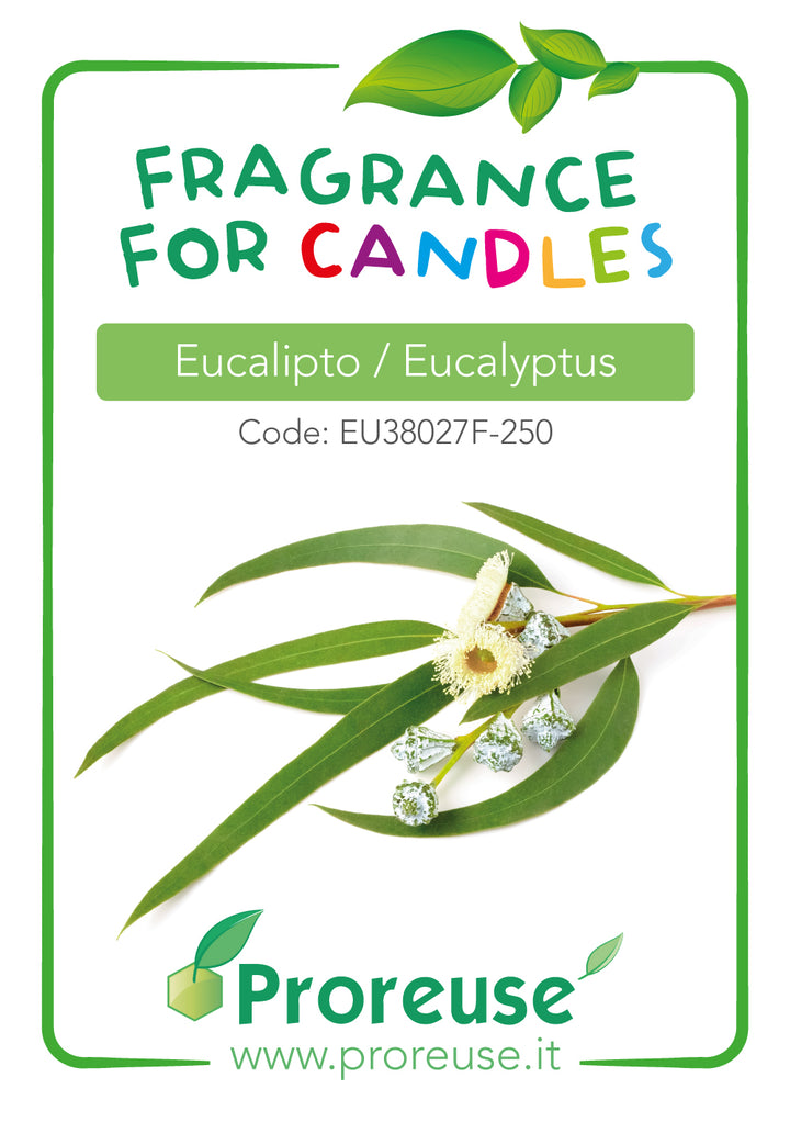 Fragranza EUCALIPTO