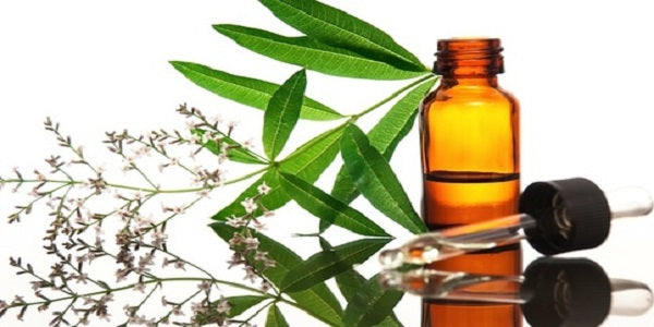 Fragranza: Olio essenziale alla citronella (JAVA )