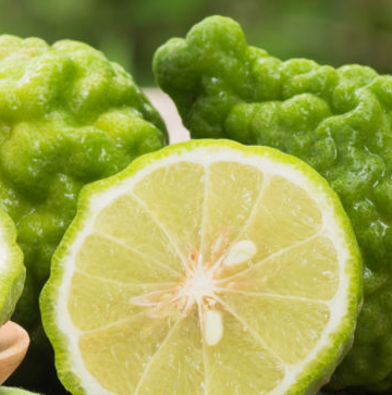 Fragranza al Bergamotto