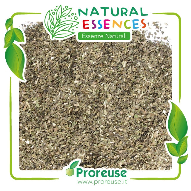 Menta piperita foglie monde taglio filtro    - 100 gr