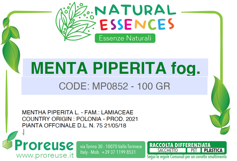 Menta piperita foglie monde taglio filtro    - 100 gr