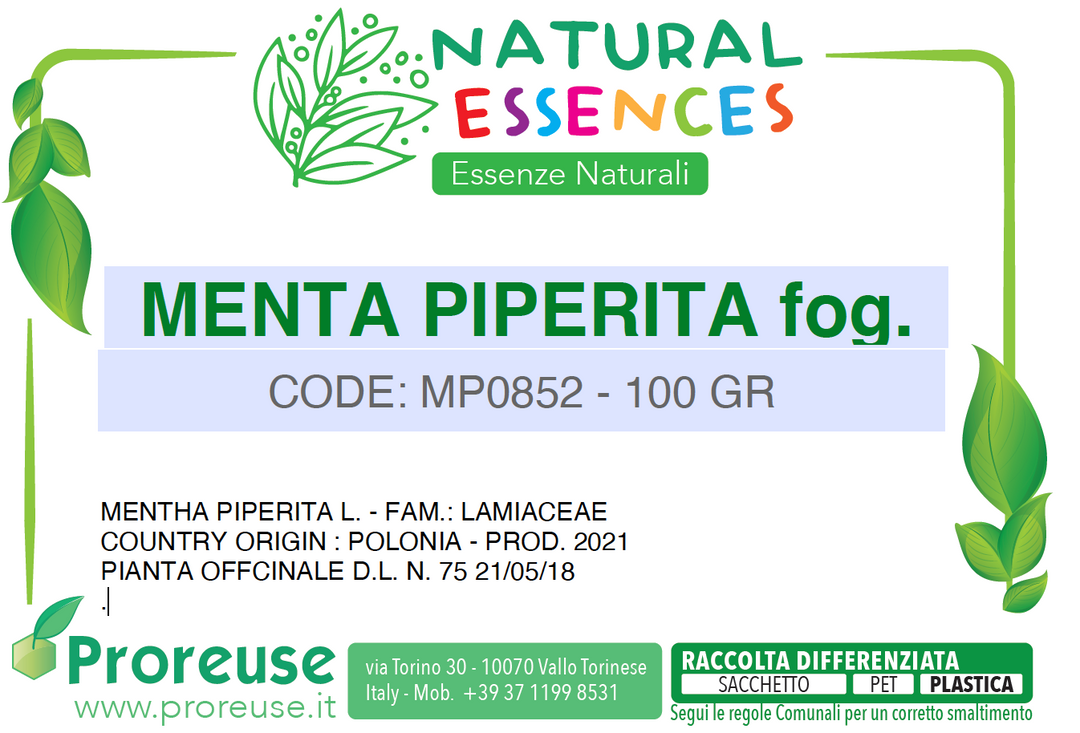 Menta piperita foglie monde taglio filtro    - 100 gr