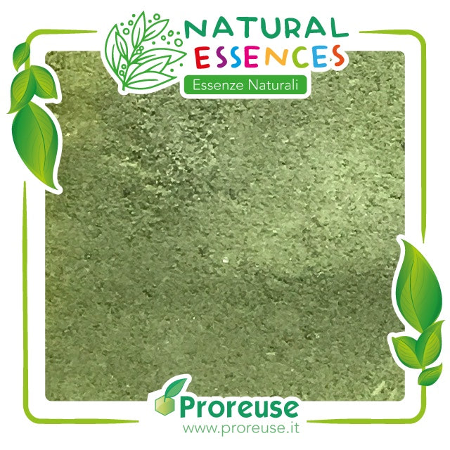 Moringa oleifera foglie macinate  in polvere - 100 gr