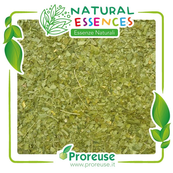 Moringa oleifera foglie triturate - 100 gr