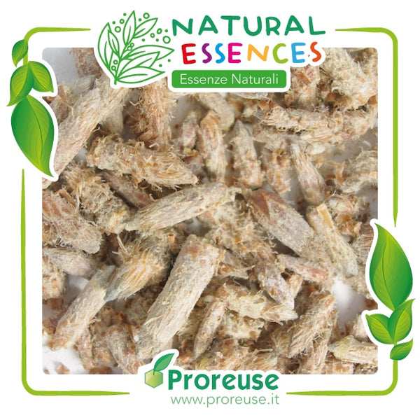 Pino gemme intere - 100 gr