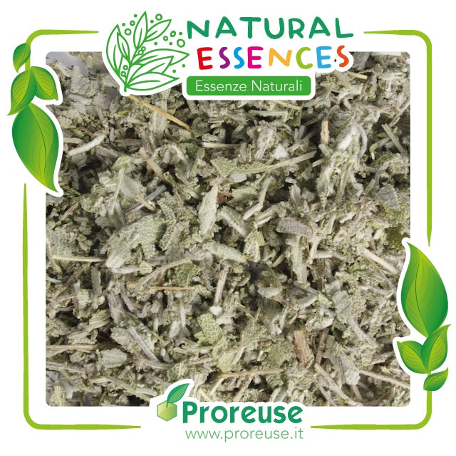 Salvia officinale foglie triturate   - 100 gr