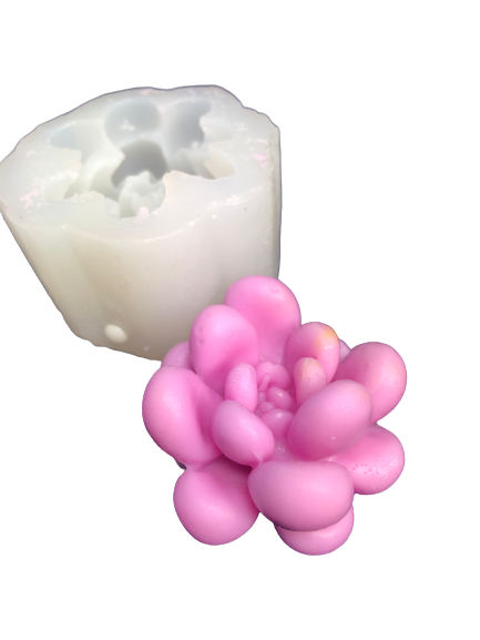 Stampo in silicone a forma di pianta grassa