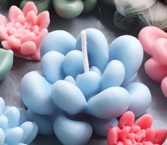 Stampo in silicone a forma di pianta grassa