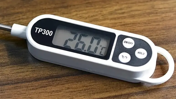 Termometro digitale