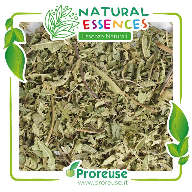 Verbena odorosa foglie triturate - 100 gr